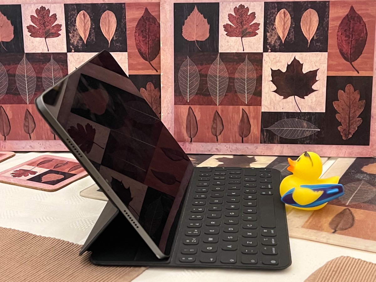 DuckDiveDuck's tweet photo. Apparently I have to Duck from home today. That doesn’t sound like fun. #HybridDucking Might try and sneak out later and see what I can find. https://t.co/ZSKDSVcFkY