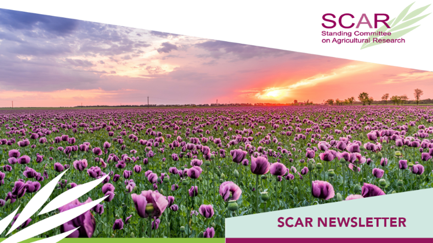 EUScienceInnov's tweet photo. Read the latest #SCAREC newsletter with updates on:
🍃SCAR national conference report
🍃SCAR Plenary
🍃4 Horizon Europe Partnerships + 1 potentially foreseen
🍃9 SCAR Working Groups
🍃Funding opportunities
🍃SCAR events
👉https://t.co/NL30BXmr7Y https://t.co/5zDIaE6qLD