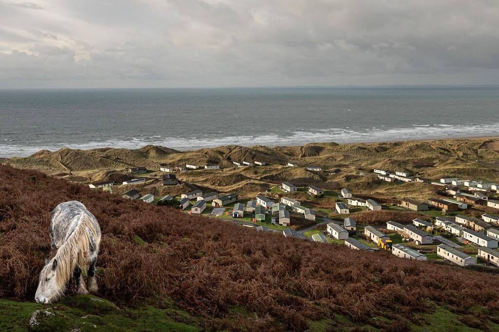 Gower pony with a nice view, although it is spoilt by caravans
.
.
#wildhorses #welshpony #windswept 
#equinephotography #horsesofinstagram #horsephotographer #horsephotograpy #horsephotography #nikon #nikonphotography #nikonz6ii #gower #gowerpeninsula #… instagr.am/p/CmV9en8NUMr/