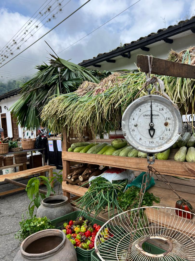 meals4hope's tweet photo. 2da Feria Agropecuaria de #MujerRural ,Zea. Las mujeres vendieron todos sus productos a buen precio para la gente. Hortalizas, cerdo, huevos, morcillas, hojas de hallaca, cestas...buenos productos a pesar de las lluvias...y el orgullo de producirlos #resiliencia #mujer #comunidad https://t.co/eCDHAj16IE