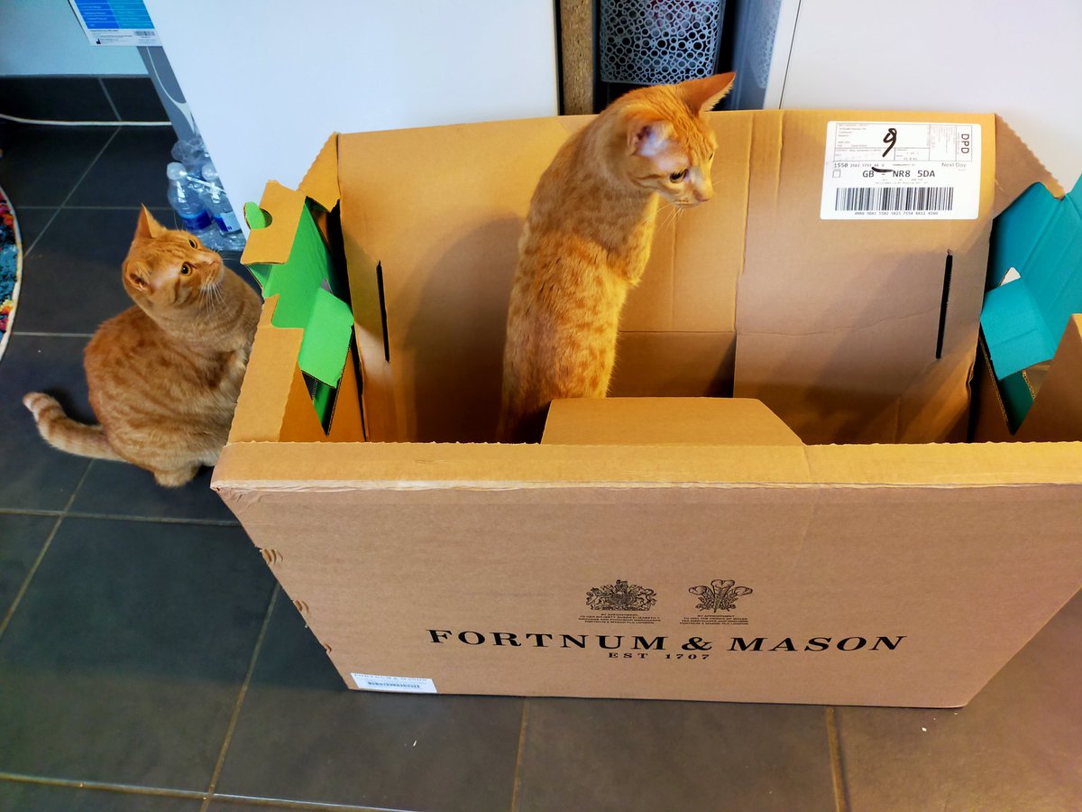 samantha elmhirst tweet media