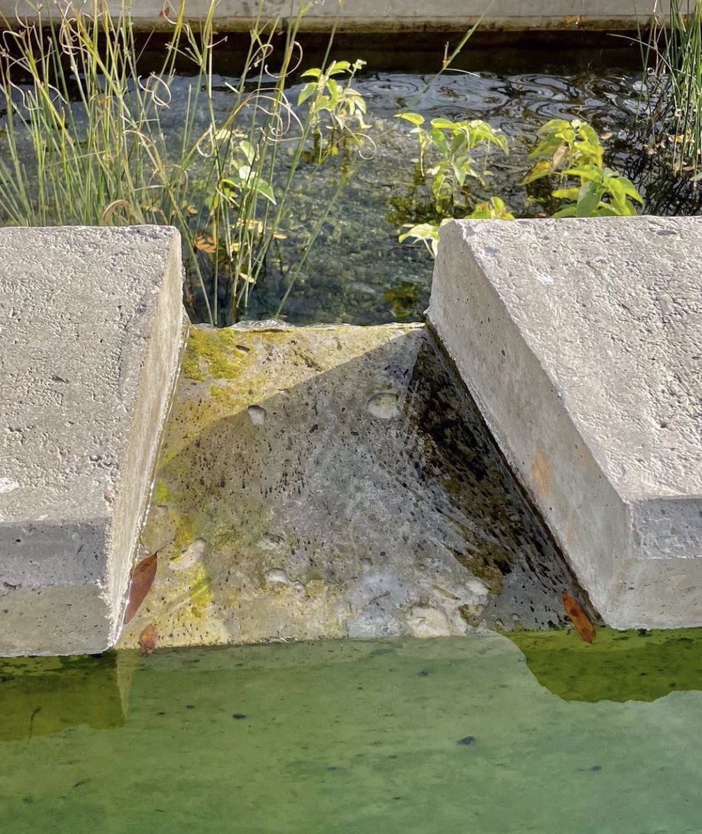 ARAGrup's tweet photo. Banyar-se i gaudir de la naturalesa a prop de casa tot l any
Bañarse y contemplar la naturaleza todo el año en la puerta de casa. 
https://t.co/7PW8ik1jZh https://t.co/303Umgd6eU