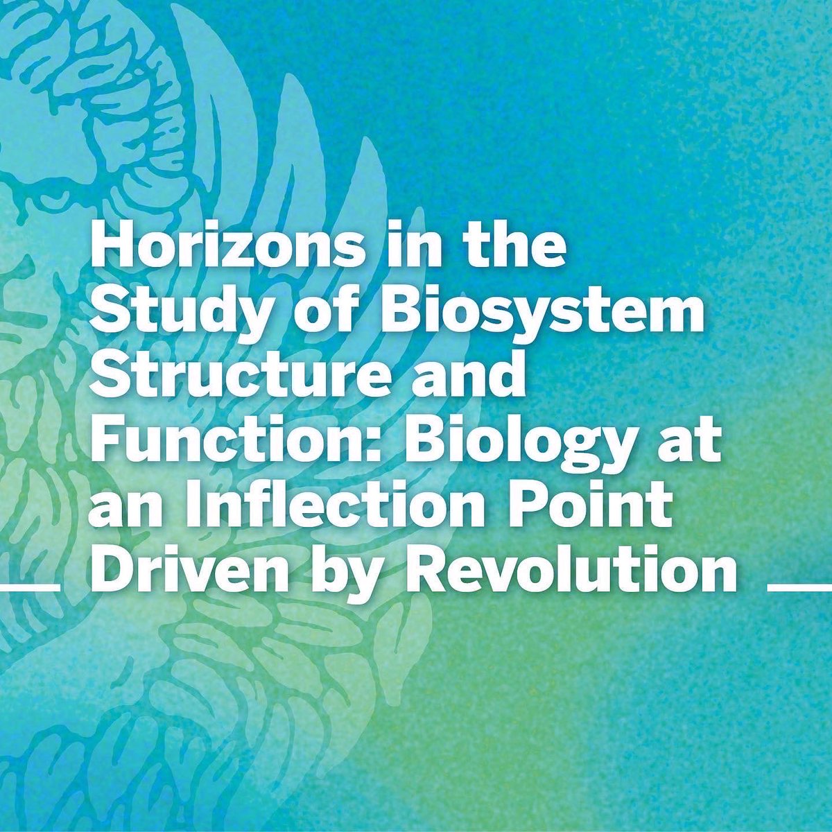 ECLT_Venice's tweet photo. ✨ Join us #today at #ECLT ⁦@NICHE_Venice⁩ Christmas Lecture with Prof #MargaretMcFallNgai ⁦@carnegiescience⁩ 👉 zoom link https://t.co/Fx83dHFkUc 
#biology #biosystem #research #science #cafoscari https://t.co/MXE6DfHML4
