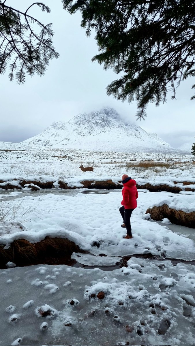 4elementsAT's tweet photo. A pretty #Christmas scene in #Scotland yesterday I would say https://t.co/mAueeU70CB