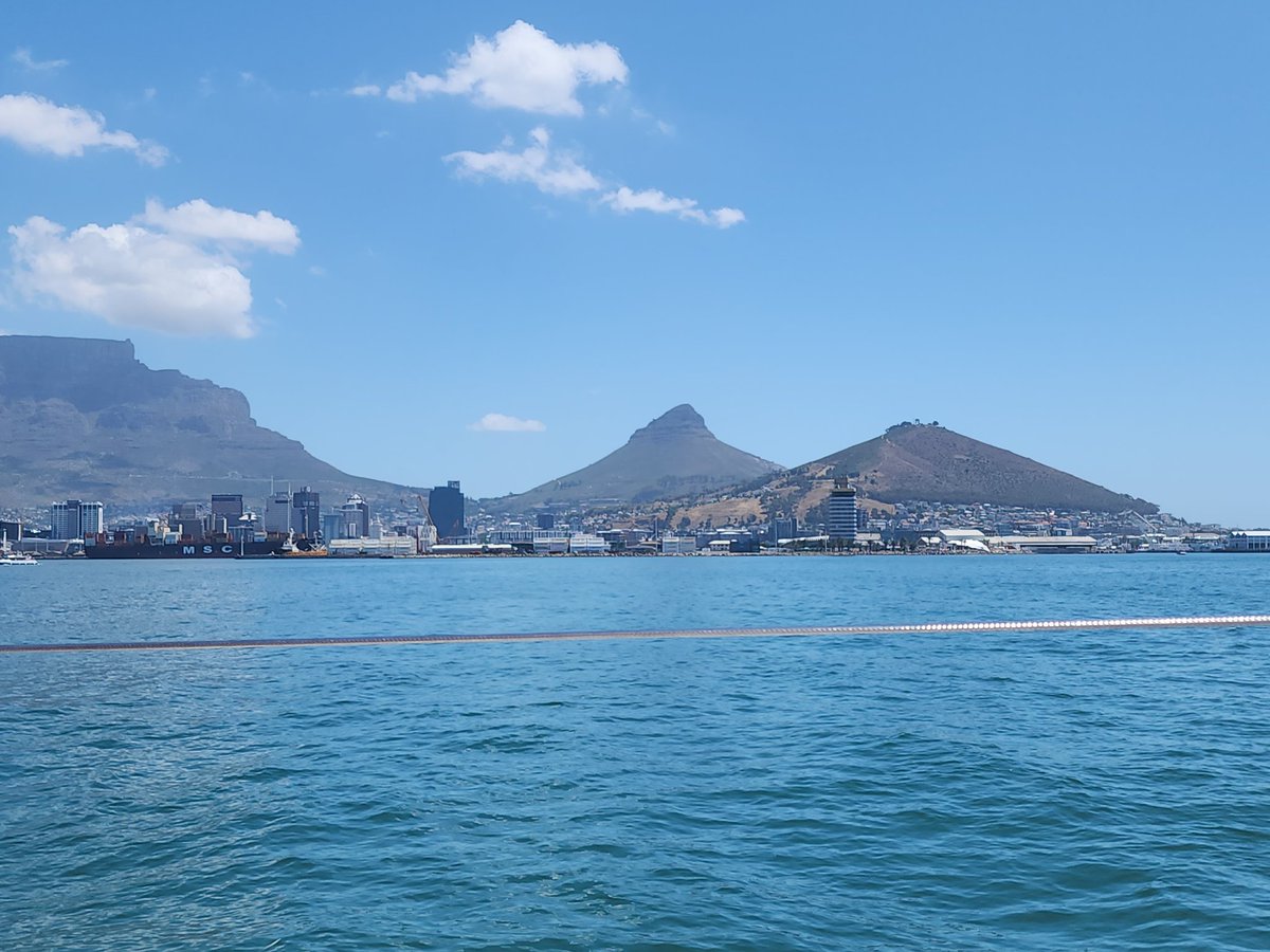 Lekker bly lekker @rankrosie #kaapstad #waterfront #catamaran