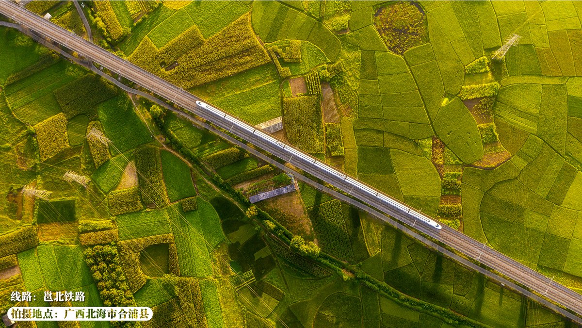 ChinaRailways's tweet photo. What colors does autumn bring to southern China? 
It brings green. When trains run through forests, passengers feel like they are floating in a sea of green. Lush trees and mountains show the limitless vitality of autumn in southern China. #ColorfulAutumn #highspeed https://t.co/Ba3M6ZwFua
