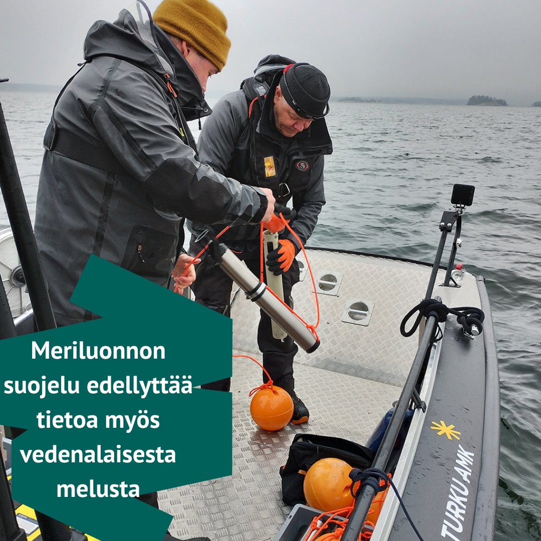 Teli_TurkuAMK's tweet photo. Vedenalaista melua tutkitaan #Saaristomeri´alueella. Meriluonnon suojelu edellyttää tietoa myös vedenalaisesta melusta. Melusta on kuitenkin niukasti tietoa etenkin saaristo-olosuhteissa. 
https://t.co/dj6VqAQr7S
#meriluonto #melu @TurkuAMK https://t.co/I4UY8e2ajJ