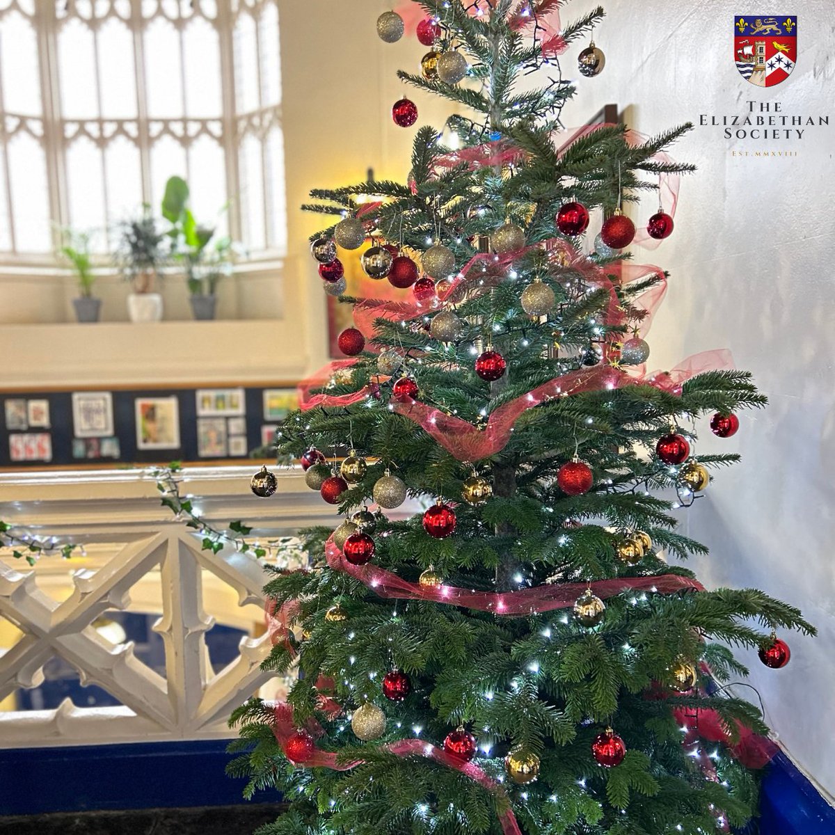 From all of us at QEH, we wish you a very Merry Christmas and a Happy New Year!

#chirstmas #christmastree #qeh #qehcommunity #alumni #oldelizabethans 
@QEHSchool @QEHSchoolHead
