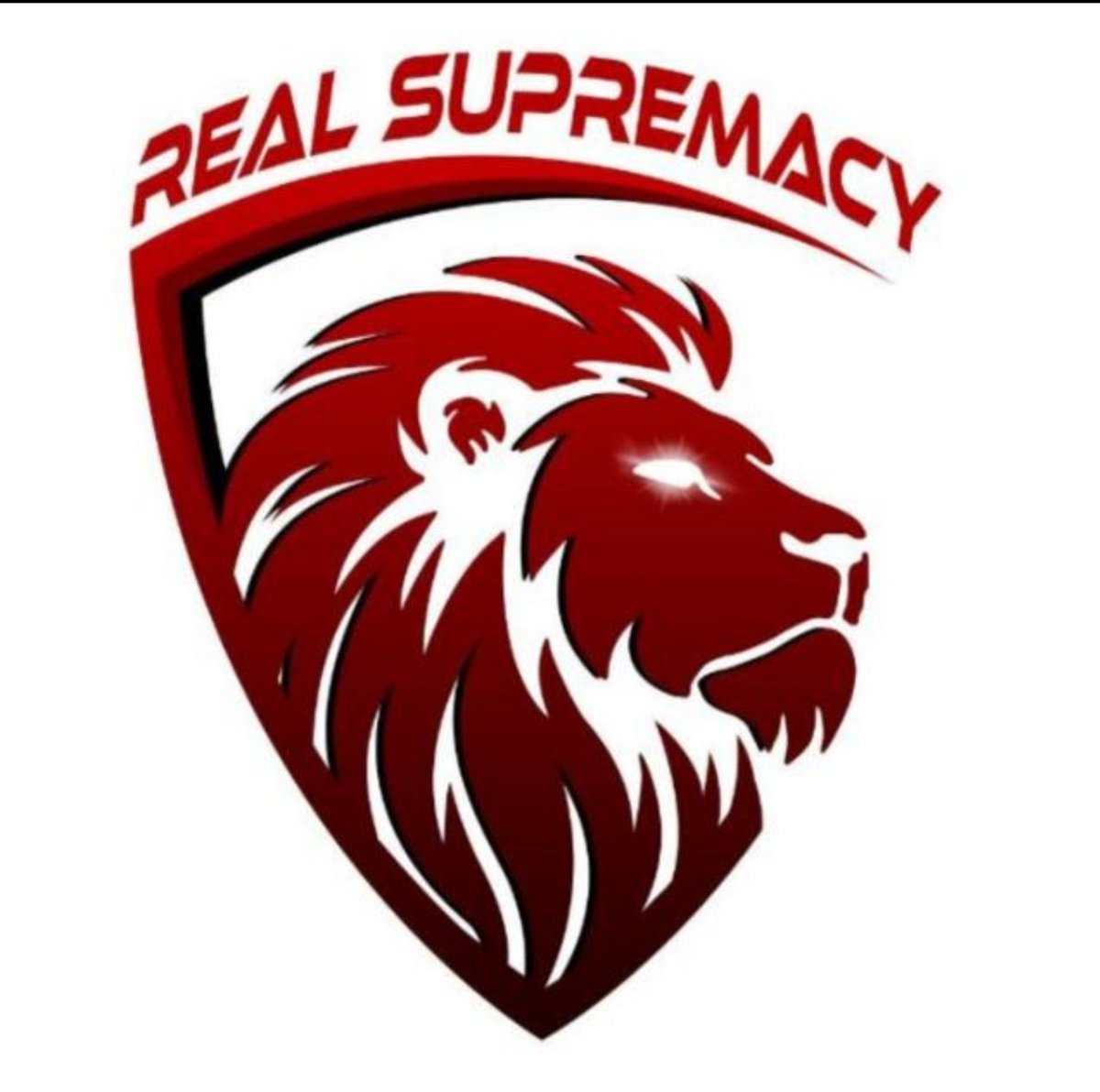 ℝ𝕖𝕒𝕝 𝕊𝕦𝕡𝕣𝕖𝕞𝕒𝕔𝕪 tweet media