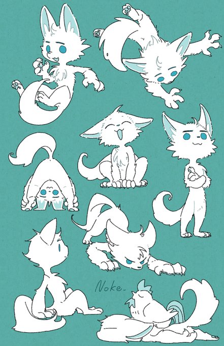 わんこ 