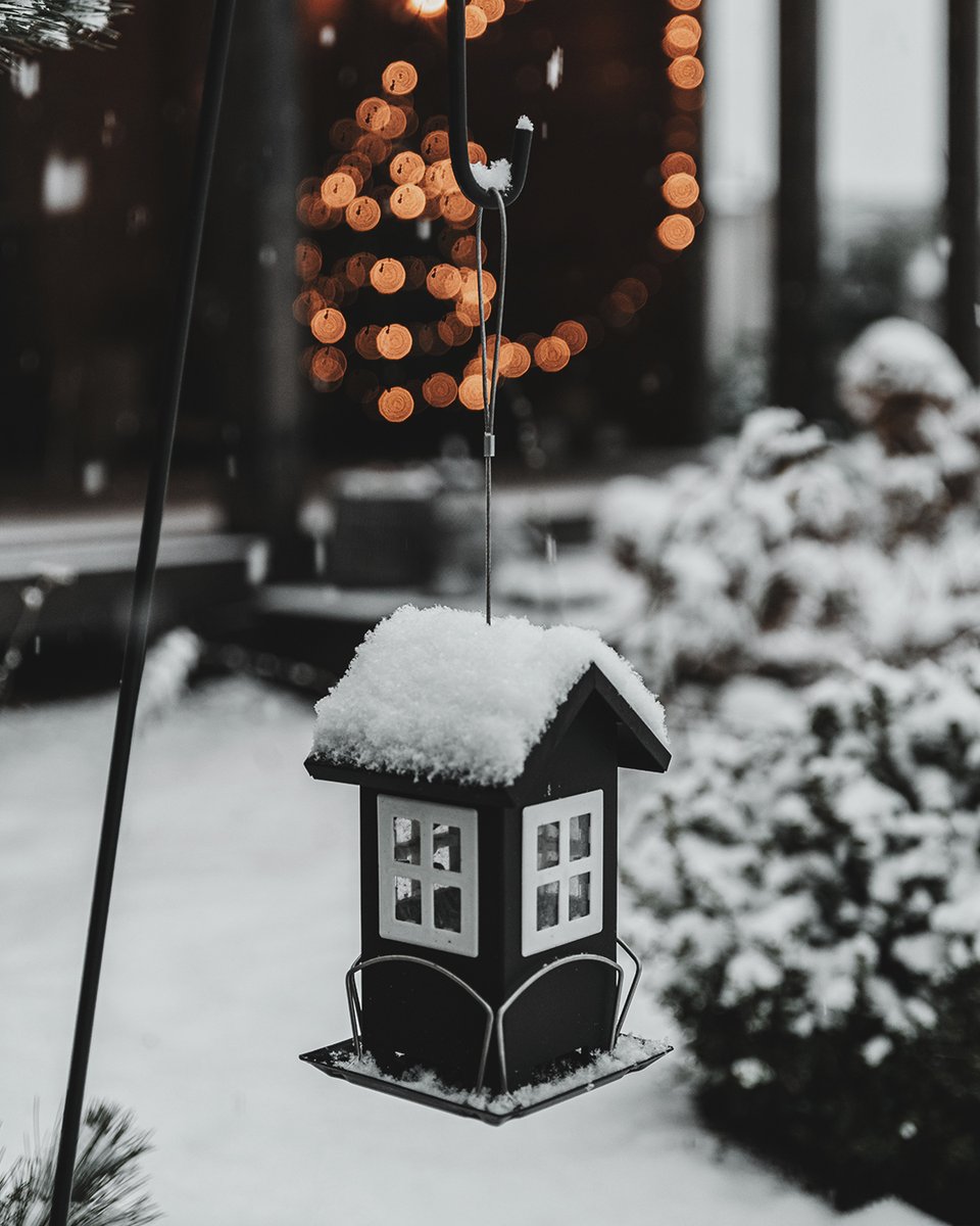 ❄ 50 Millimeter Neuschnee, festgehalten stilecht mit 50 Millimeter Objektiv 😉 Objektiv: #TTArtisan 50mm F1.2 (APS-C) #fotografie Mehr dazu: tt-artisan.de/50mm-f1-2-aps-c