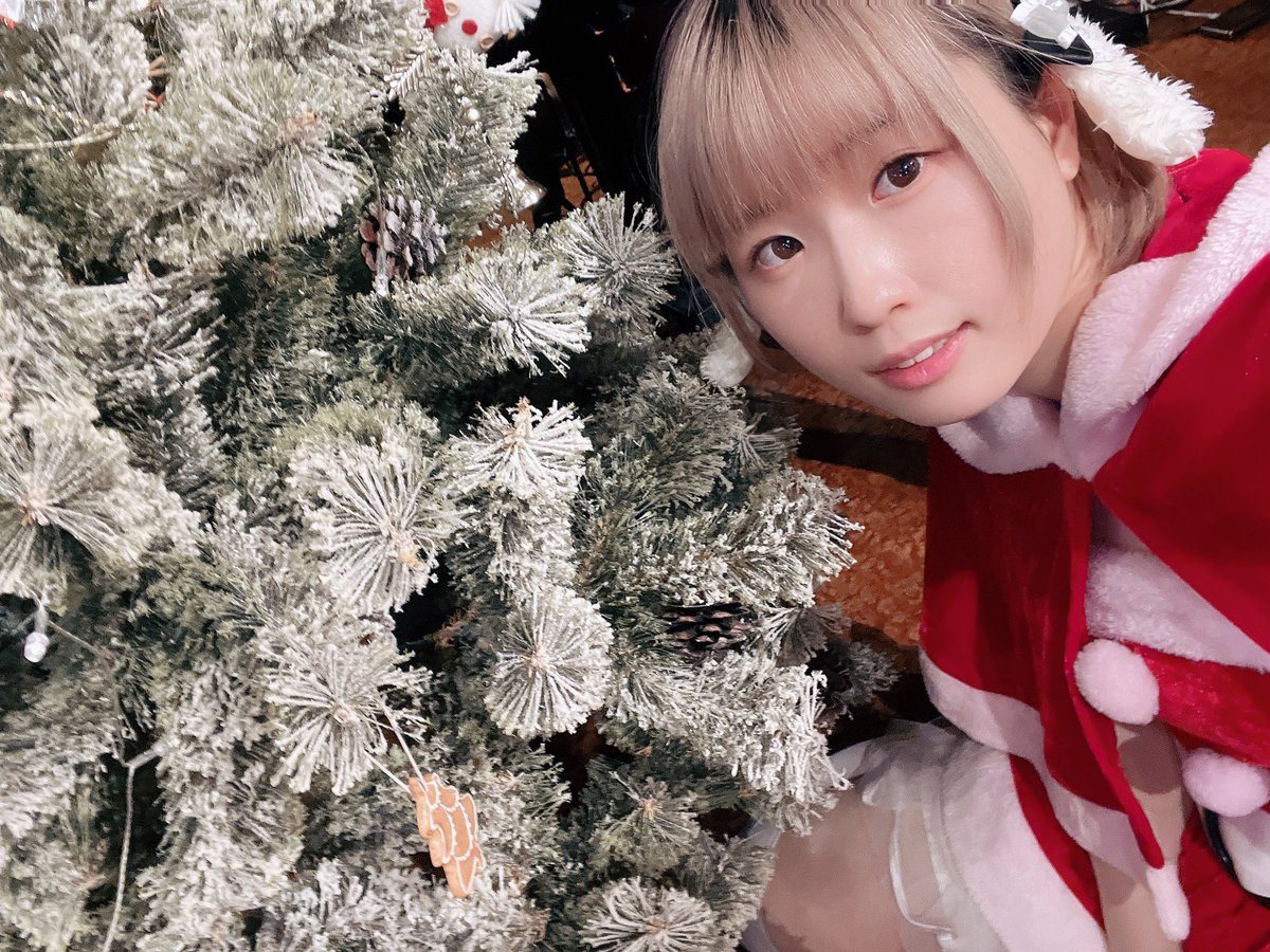 HMC_olive's tweet photo. おはようございます さくです☁*°
今日からクリスマスイベント🎄
ほっぷちゃんと待ってるよ！
#うさぎ日記 https://t.co/UMcRwEwQF7