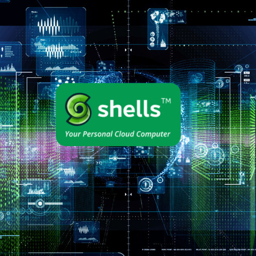 Shells.com tweet media