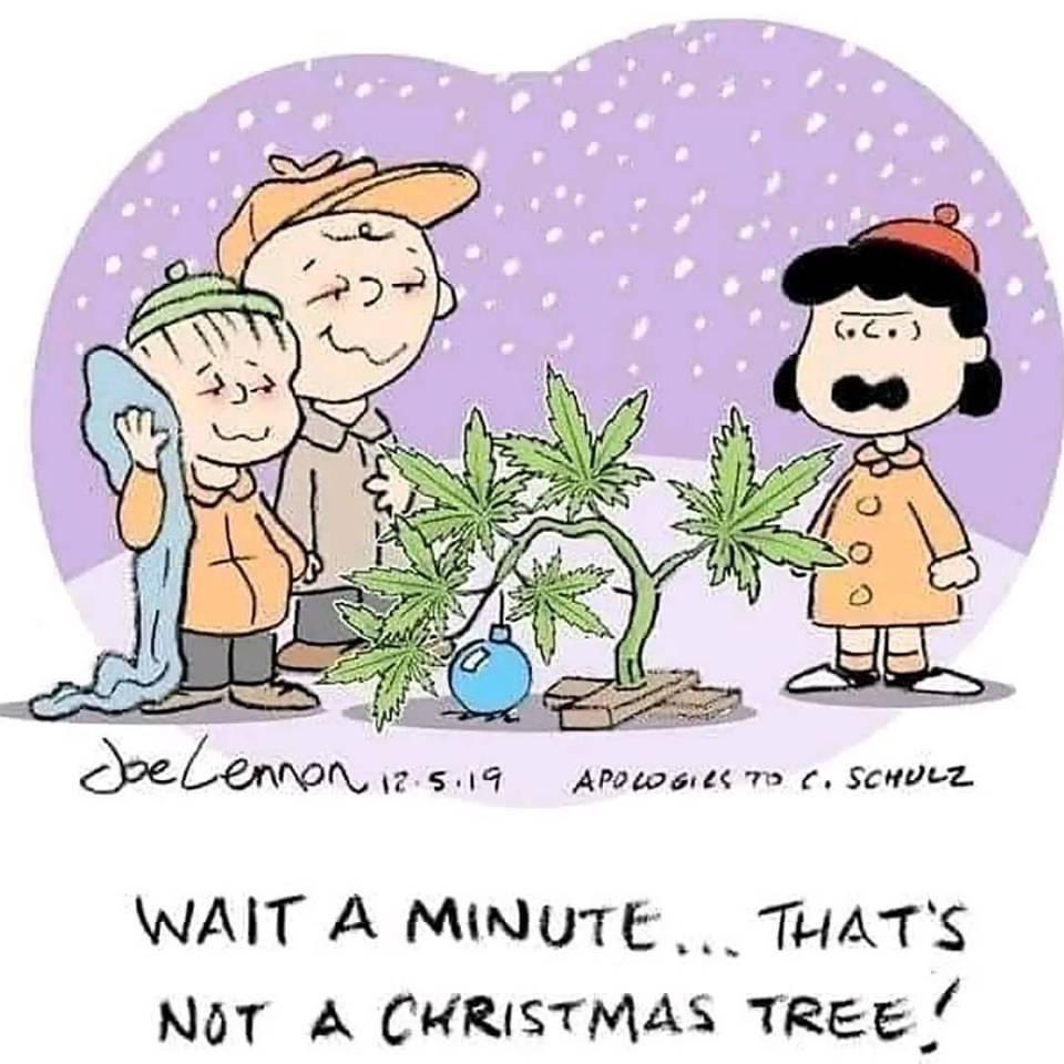 ballinluxe's tweet photo. Tis the season
#CharlieBrown #weedtree #MerryChristmas #funnymemes https://t.co/6Wb48YyGrc