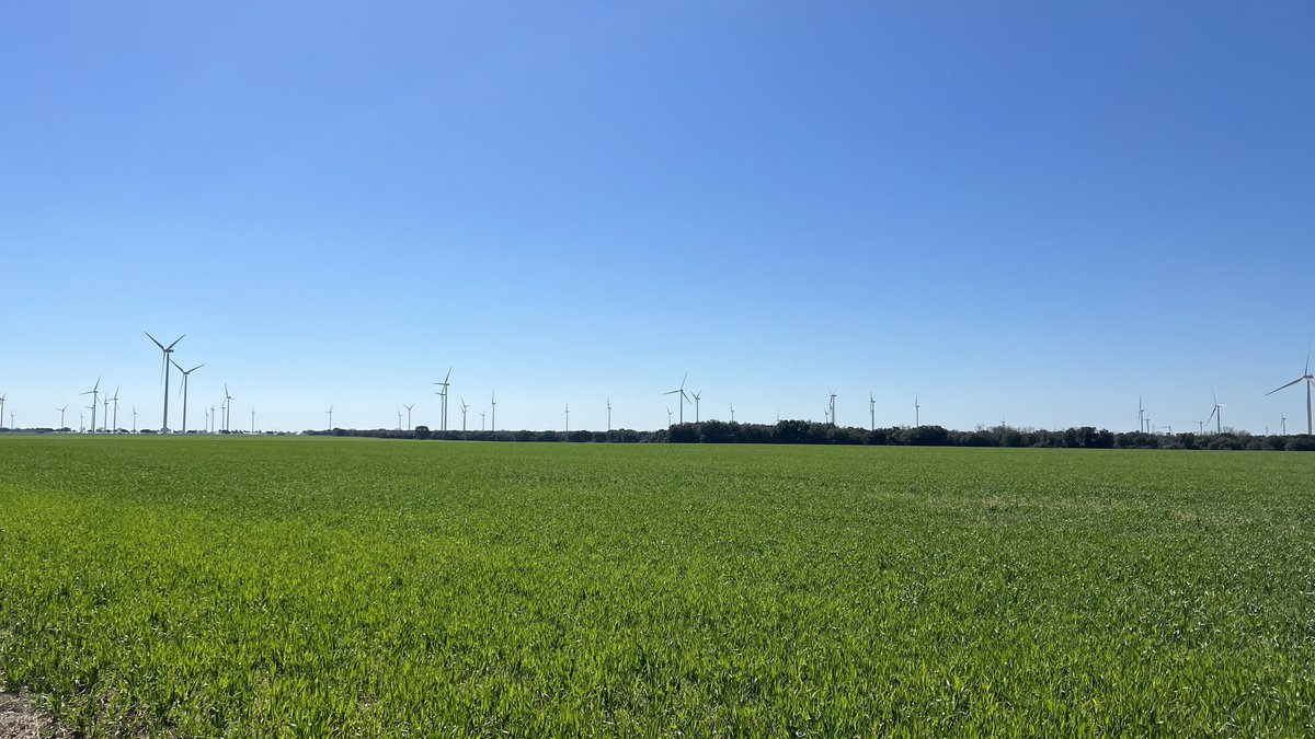 <a href="/Daviddcoba/">David Ortega</a> Pues en Galicia alucinarías: en la Costa da Morte, en Cabo Vilán, los primeros ya llegaron en 1990. Pero es cierto que por Castilla hay cada vez más. Este verano quedé impresionado por la zona de Wamba o Castromonte (Valladolid).