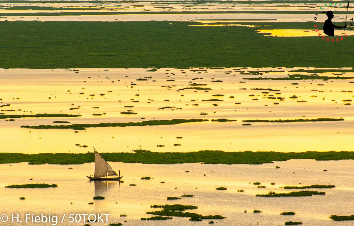 🇰🇪🇰🇪 Treasure Hunt Western Kenya: Exploring Lake Victoria and Islands🥰🏝️ 🚤⛵
 #ThisIsMyKenya #MagicalKenya #TreasureKenya #TembeaKenya #ReliveTheMagic #TembeaWestern #TembeaNyumbani #LakeVictoria #Homabay #Kisumu #RusingaIsland #MfanganoIsland #NdereIsland #TakawiriIsland