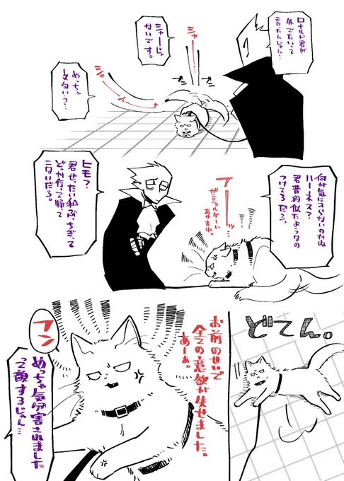 読しぬやつ猫=^・ω・^=バチ切れ 