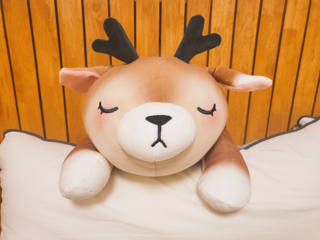 22kkim's tweet photo. 오늘 루니아(@DearLunia)님 만나서 받은 사슴 루니아 인형~~~!!!! 이렇게 소중하고 멋진 굿즈는 너무나 몰캉몰캉합니다... 촉감 굿...!!!! 출국하시기 직전이라 너무 아쉽지만 다음을 기약하며...!!! 👍👍 정말 멋진 만남이었습니다 감사합니다 ♡♡ https://t.co/adf6Vy69nG