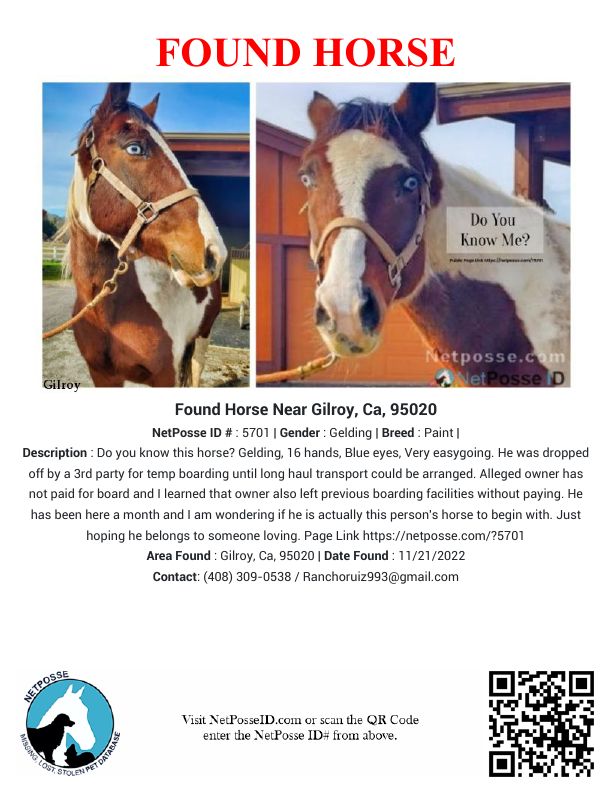 netposse's tweet photo. Found Paint Horse | NetPosse ID #5701 https://t.co/ViLSEBEfKN Do you know this horse, or someone who is looking for a horse like this? #foundhorse #lostandfound #gilroy #california #netposse #stolenhorseinternational https://t.co/4qK6BXAakw