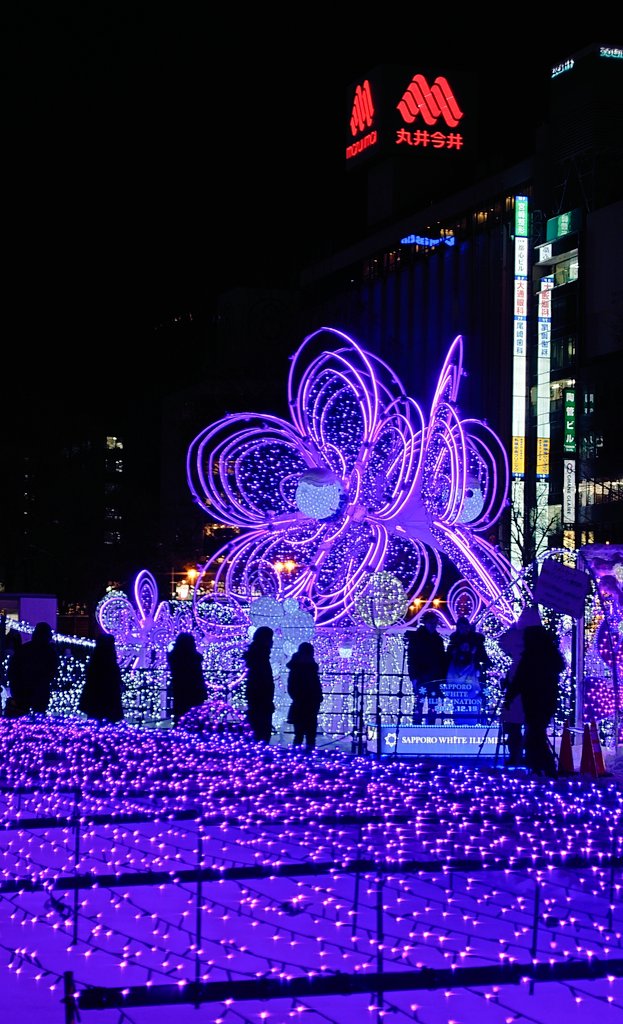 ホワイトイルミネーション❄ 