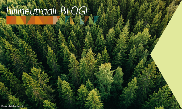 Monet kunnat toimivat jo hiilinielujen vahvistamiseksi. Kunnat kaipaavat vielä lisää tietoa, koulutusta ja rahoitusta hiilinieluja tukevaan viljelyyn ja metsänhoitoon, kirjoittavat <a href="/LSaikku/">Laura Saikku</a> ja <a href="/SampoPihlainen/">Sampo Pihlainen</a> 

hiilineutraalisuomi.fi/fi-FI/content/…

#HiilineutraaliSuomi #Hinku #Canemure