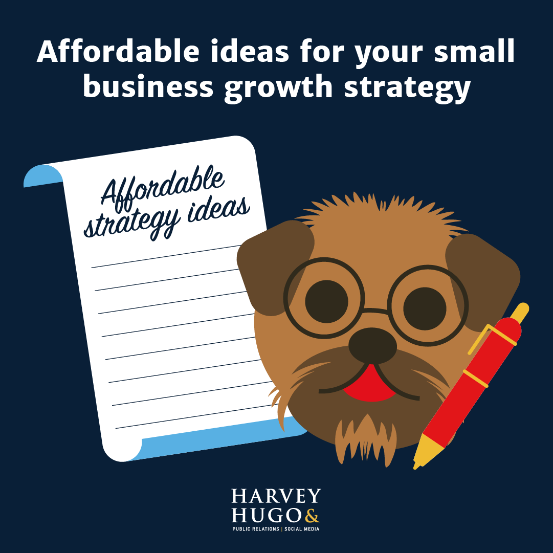What should you take into consideration when it comes to creating and effective, affordable small business growth strategy? 🤔 Read The Pack’s #blog to find out: harveyandhugo.com/small-business…