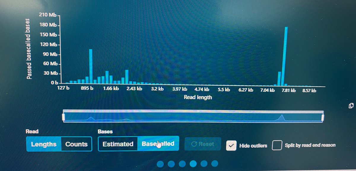 Alex Shaw (@alexshaw_as) on Twitter photo And to finish off, the lab have performed near-whole genome sequencing of poliovirus in single reads using native barcoding. Great work! <a href="/OmaniMOH/">وزارة الصحة - سلطنة عُمان</a> <a href="/VaccineEpi/">Nick Grassly</a> @NIBSC_MHRA <a href="/MRC_Outbreak/">MRC Centre for Global Infectious Disease Analysis</a> <a href="/polionanopore/">Poliovirus Sequencing Consortium</a> And to finish off, the lab have performed near-whole genome sequencing of poliovirus in single reads using native barcoding. Great work! <a href="/OmaniMOH/">وزارة الصحة - سلطنة عُمان</a> <a href="/VaccineEpi/">Nick Grassly</a> @NIBSC_MHRA <a href="/MRC_Outbreak/">MRC Centre for Global Infectious Disease Analysis</a> <a href="/polionanopore/">Poliovirus Sequencing Consortium</a>