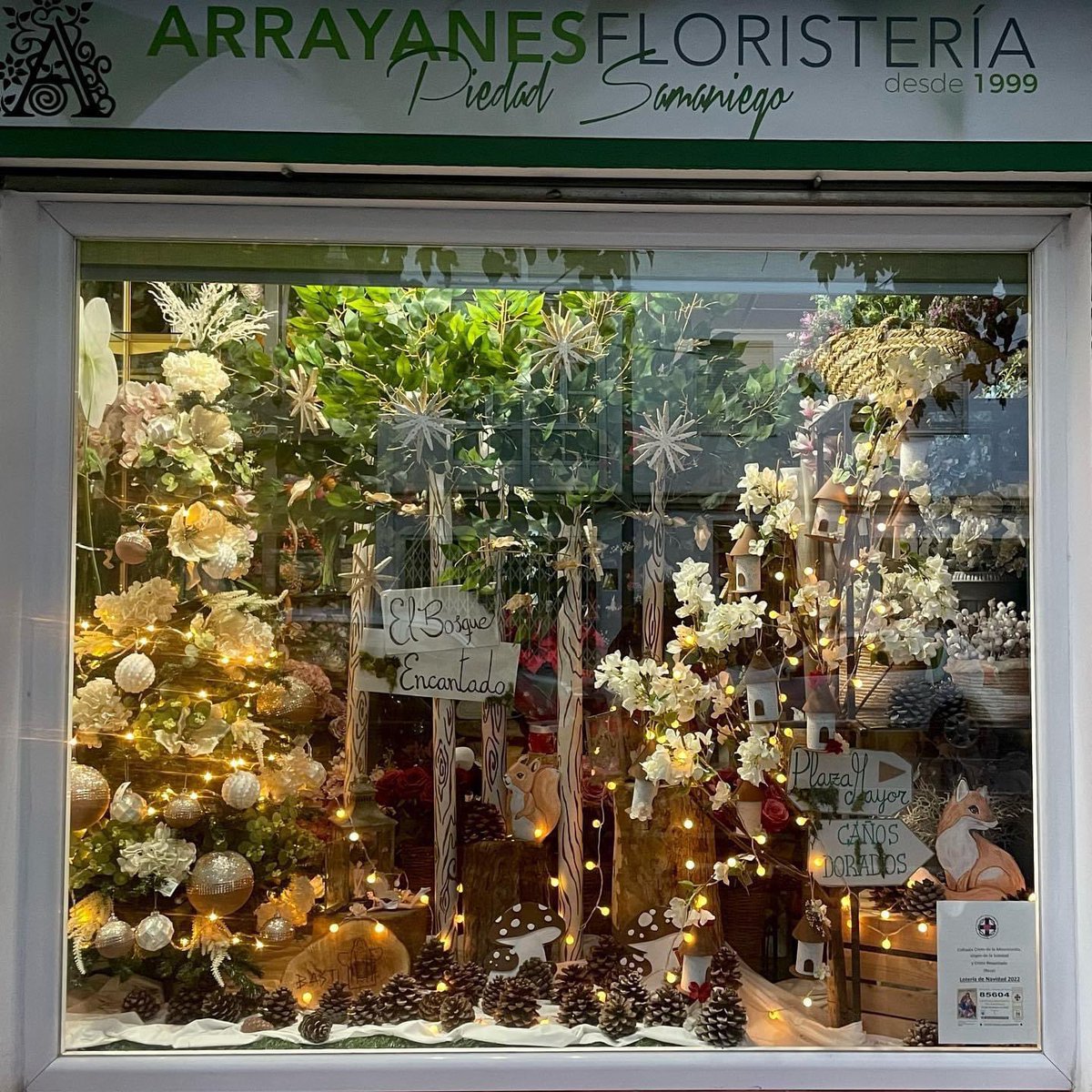 😍🏺🌲✨Detalle precioso el de la Floristería Arrayanes de Baza, en el decorado de Navidad de su escaparate hace un pequeño homenaje a nuestra Dama de Baza.
¿La encontráis?😉

¡!Muchas gracias, nos ha encantadoooo!! 👏💝