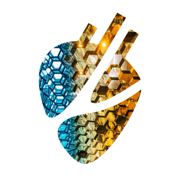 CesarNetwork tweet media