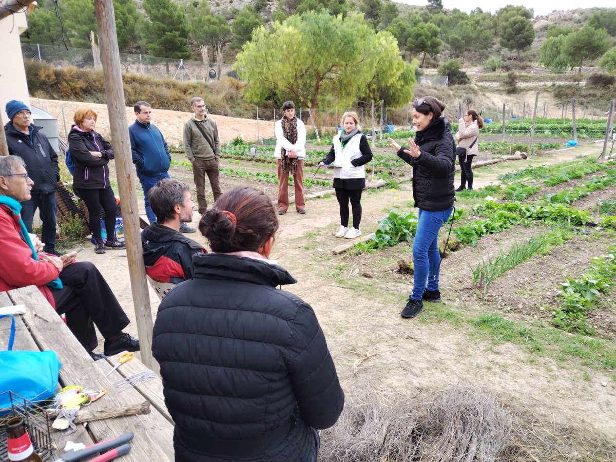 consorcio_crea's tweet photo. ♻🟫 Los huertos urbanos de Ferrusa acogieron una nueva formación en compostaje comunitario. #CompostajeComunitario #CREAmosCompost #CREAmosFuturo @culturapetrer https://t.co/suIUiQXaGv