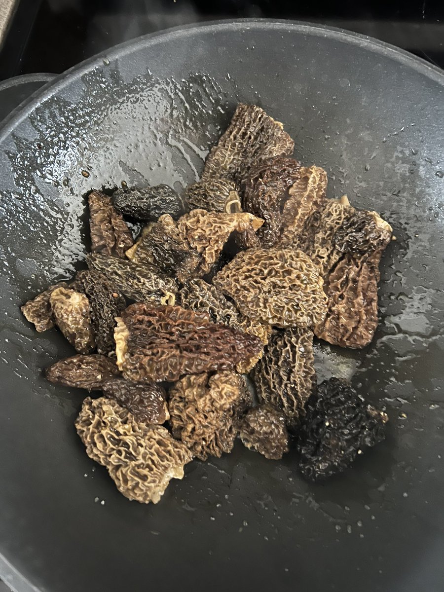 Lunch snack with #morels