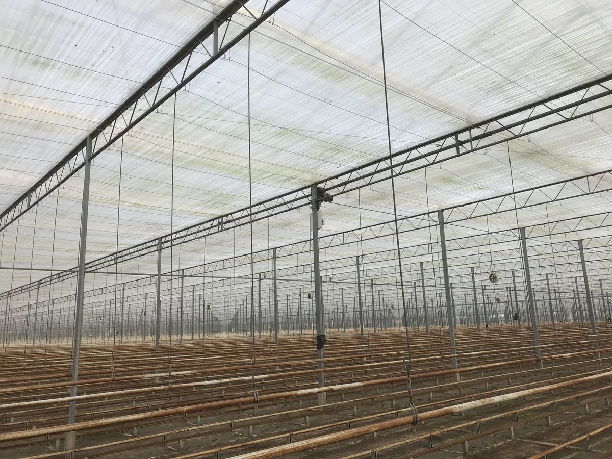 Van oud naar gloednieuw! 🤩 Bij <a href="/GlobePlant/">Globe Plant</a> hebben wij mogen helpen met het ombouwen van de nieuwe locatie, van een oude kas (zie laatste foto) naar een hypermoderne kwekerij 🦾 We hebben het bestaande energiescherm gerenoveerd en opgesplitst voor de nieuwe afdelingen, (1/2)