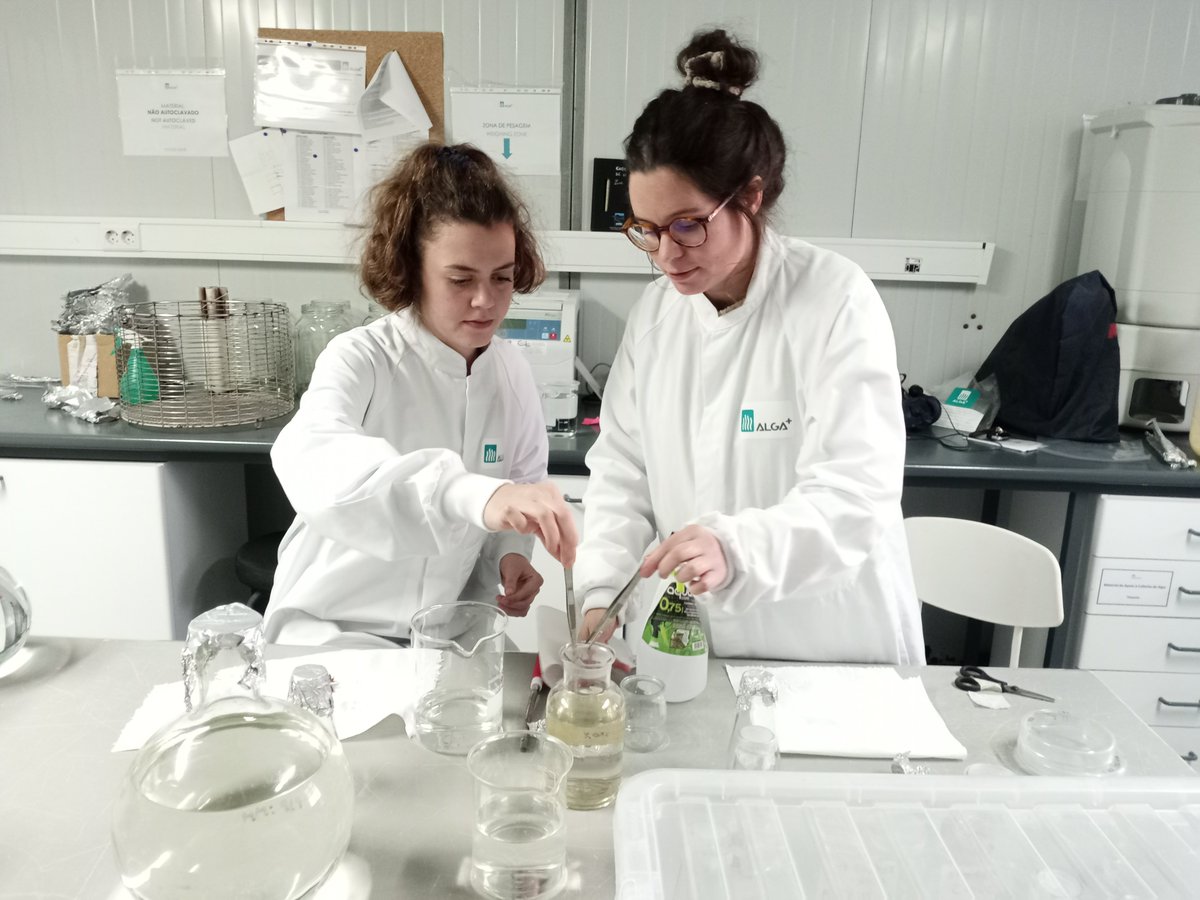 ALGAplus tweet media