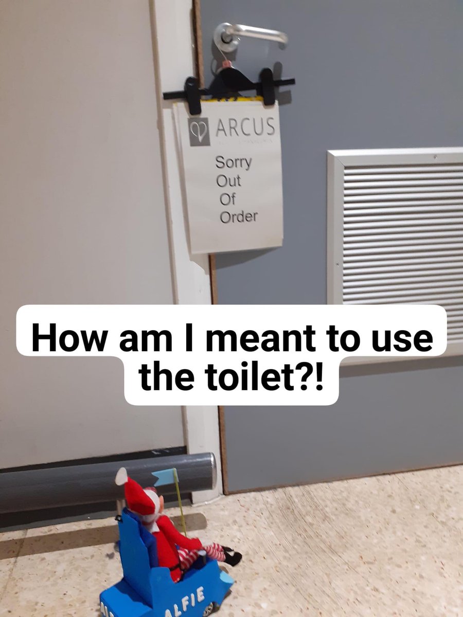 Alfie The Elf tweet media