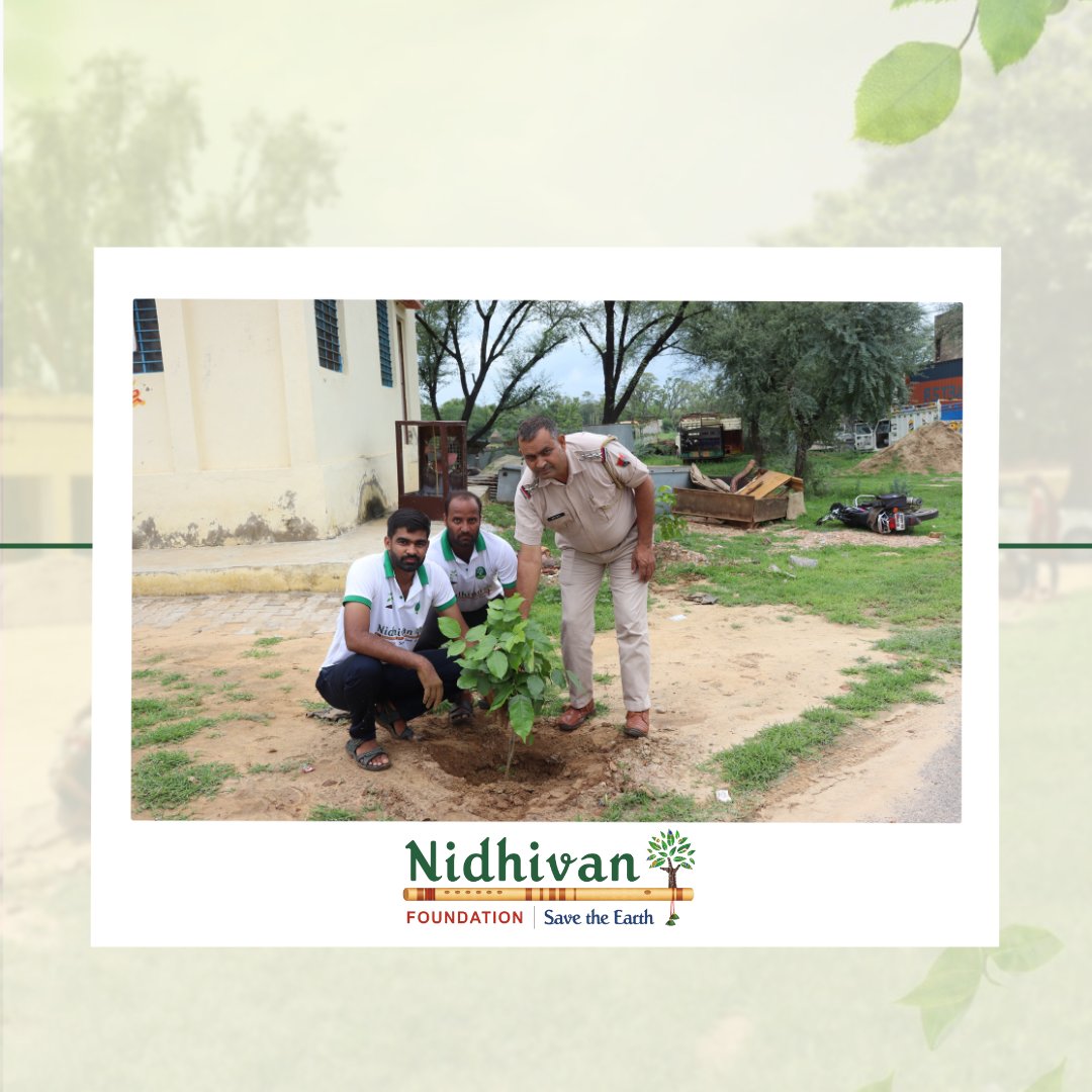 Go for afforestation. Afforestation can bring the land to life. . . . . . #tree #trees #treeplanting #treeplantation #treeplanters #treelife #treeourlife #ngo #ngoindia #nidhivanfoundation #support #instagram #insta #treephotography #savetrees #saveearth #saveplanet