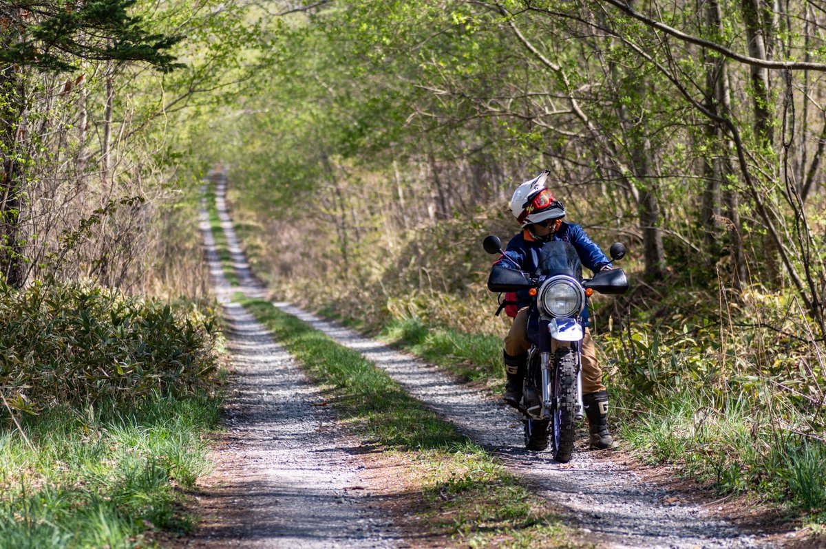 #ツーリングマップル2023読者投稿
北海道　十勝。林道を、プラプラ散歩。太陽が暖かい。