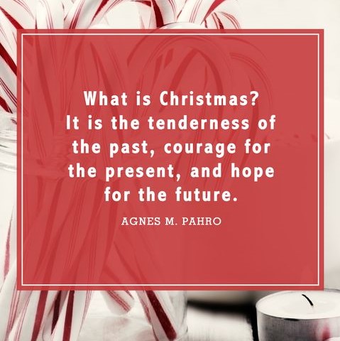 URASAFRICA's tweet photo. Let’s be tender towards others at all times.
#christmashope #christmasjoy #blessedchristmas #sendoutyourlight #blessedeveryday https://t.co/g4QPrak7cf