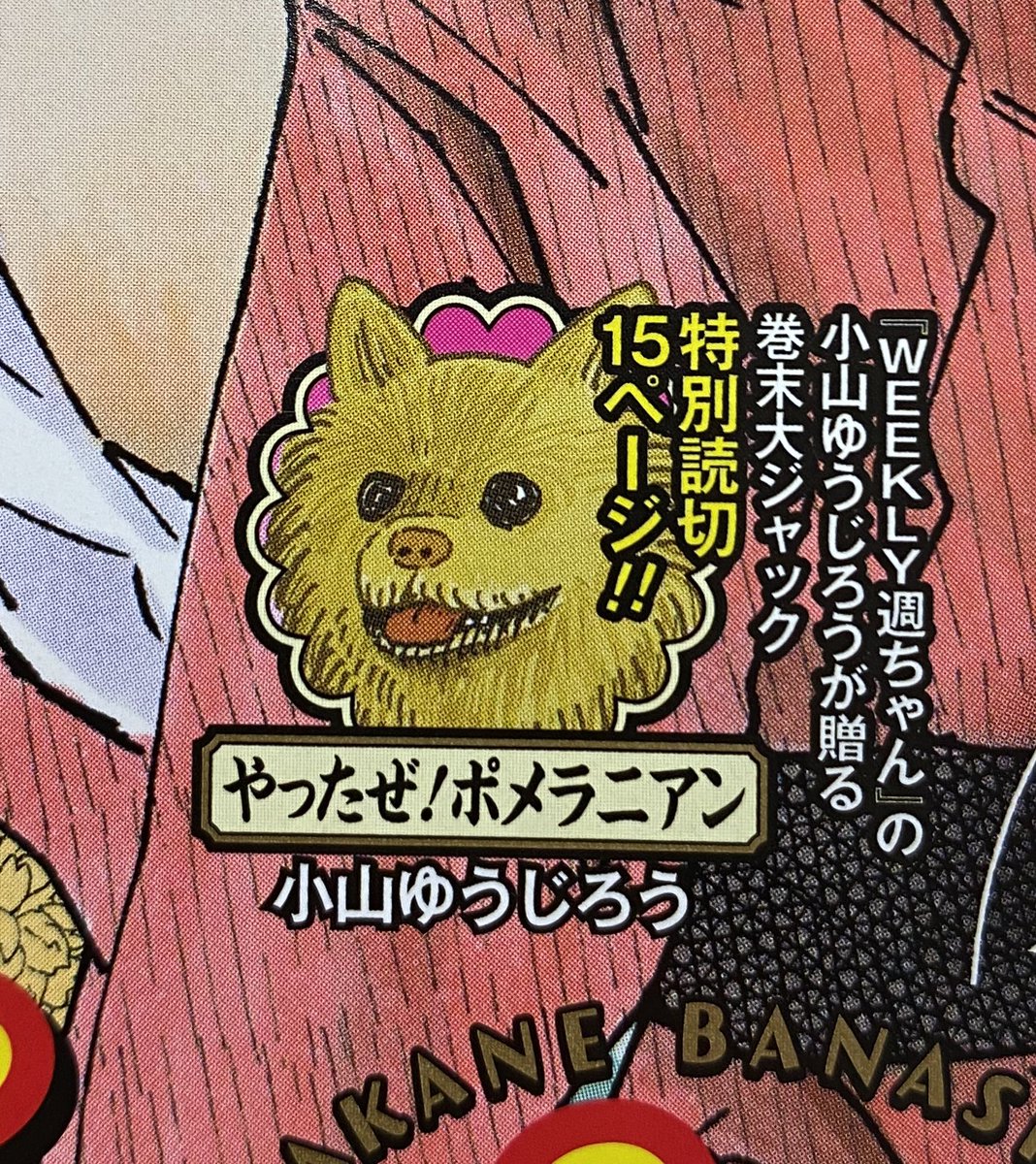 RT @tonkatsu_DJ: 本日発売の週刊少年ジャンプ3号に、#とんかつDJアゲ