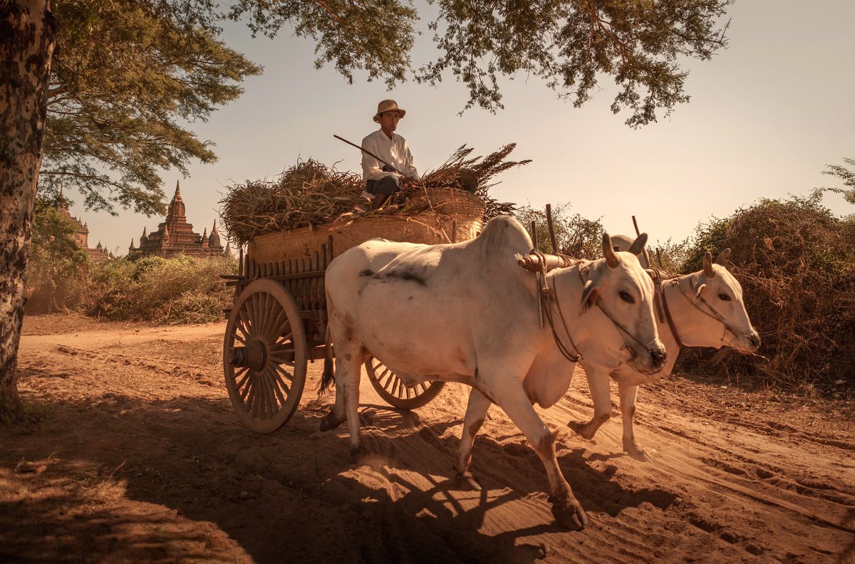 9avin's tweet image. Some images I took in Myanmar