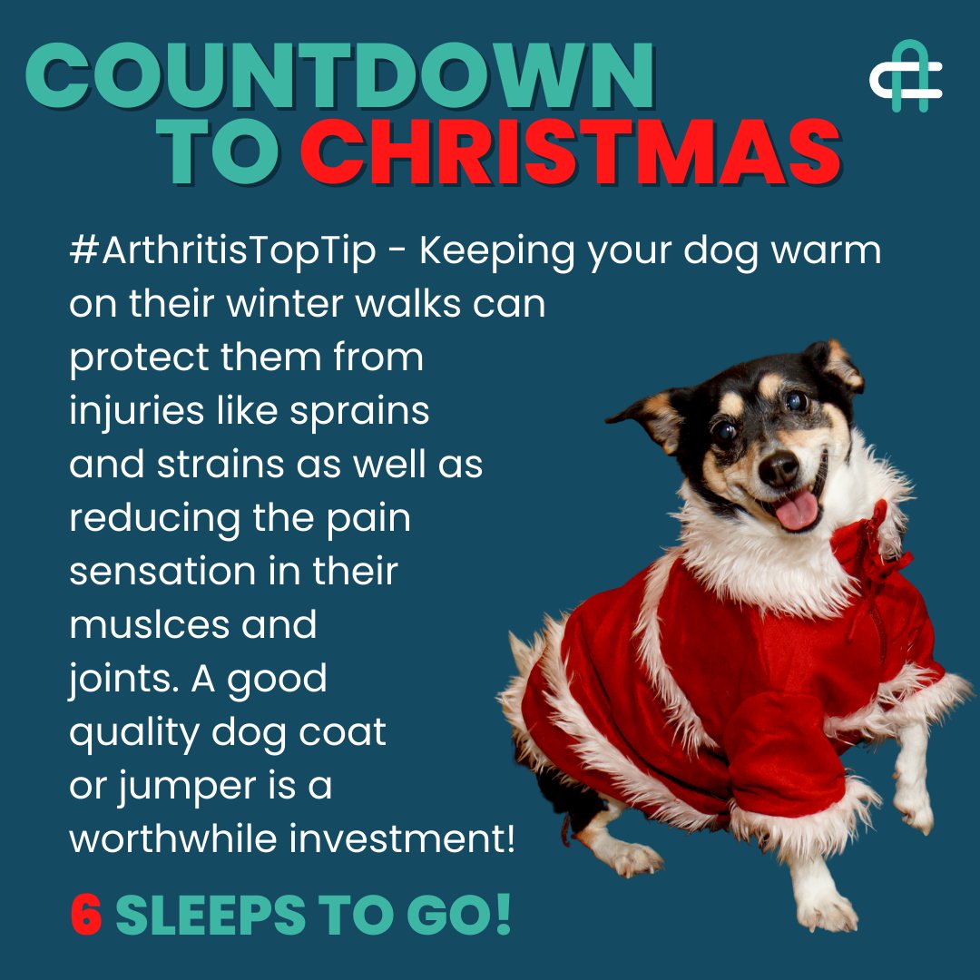 COUNTDOWN TO CHRISTMAS!!

6 sleeps to go!

#yourodgmoreyears
#YourDogMoreYears #seniordogsuk #dogloversuk #caninearthritis #CAMDogs #dogswitharthritis #veterinarylife #ArthritisTopTip #dogtrainer #dogwalk