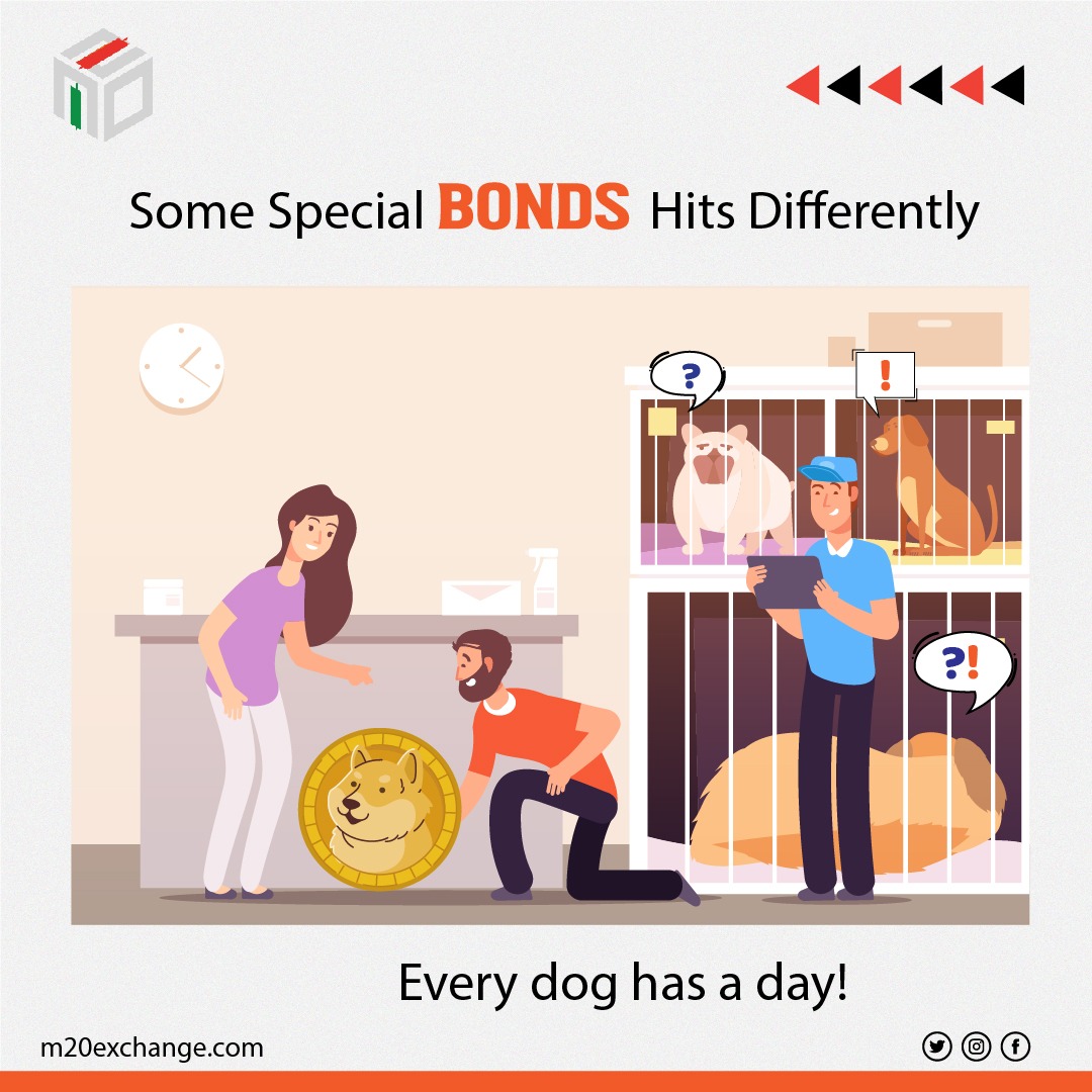 M20Exchange's tweet photo. POV : That fits my BUDGET perfectly! 🤪🤣

What 's your Point of View ? Share it with us !

#POV #dogecoin #dogememe #investment #Crypto #cryptotrading #cryptoworld #cryptoinvestor #staking #cryptocurrencymining #cryptomillionaire #mission20 #M20Coin #crypto #m20exchange https://t.co/4LtK16J633