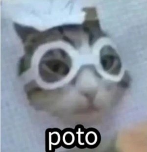 🦋 (@culoacido_12) on Twitter photo 