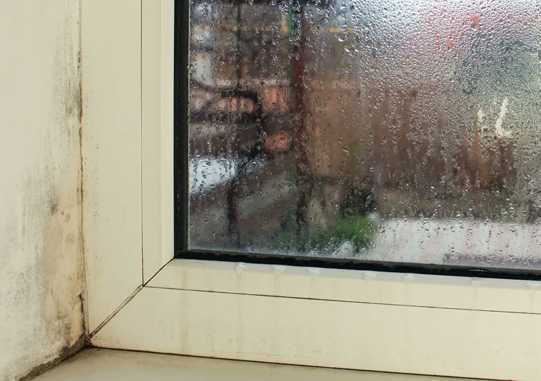proquicesa's tweet photo. ¿¿Buscas tener un hogar cálido sin gastar mucho dinero?? En el blog te contamos  algunos trucos para para evitar la #condensacion por #humedad y mantener a tu familia abrigada y seca este #invierno.✍   ¡Toma nota! 
👉 https://t.co/qf2AIQ0Vig  

#pinturastermoaislantes https://t.co/K3xc1gjHIR