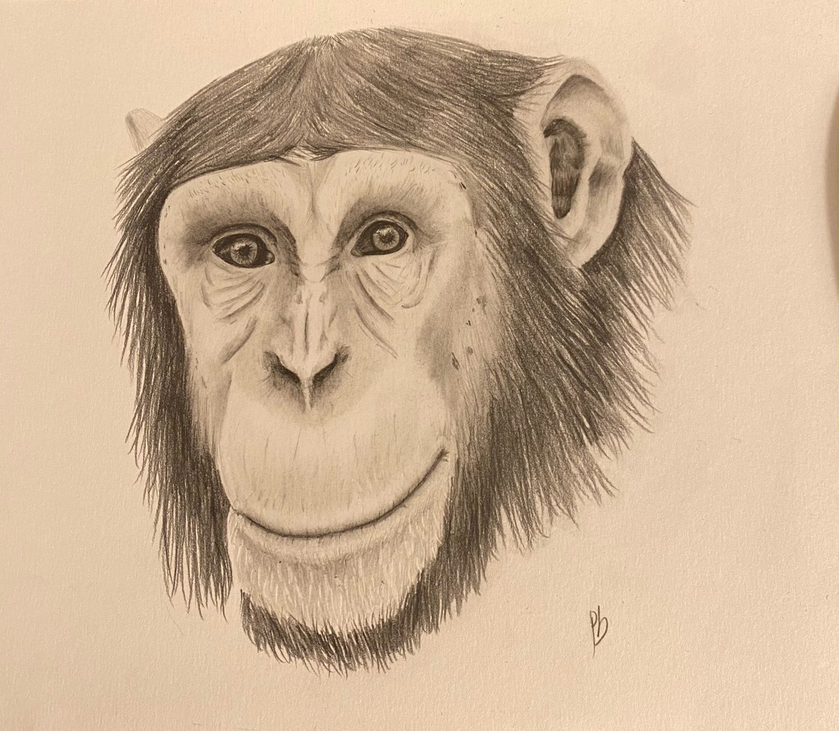 philantrhxpe's tweet photo. Chimpanzé 

#dessin #drawing #art #chimpanze #drawingwithadhd https://t.co/yRihTJpmv2