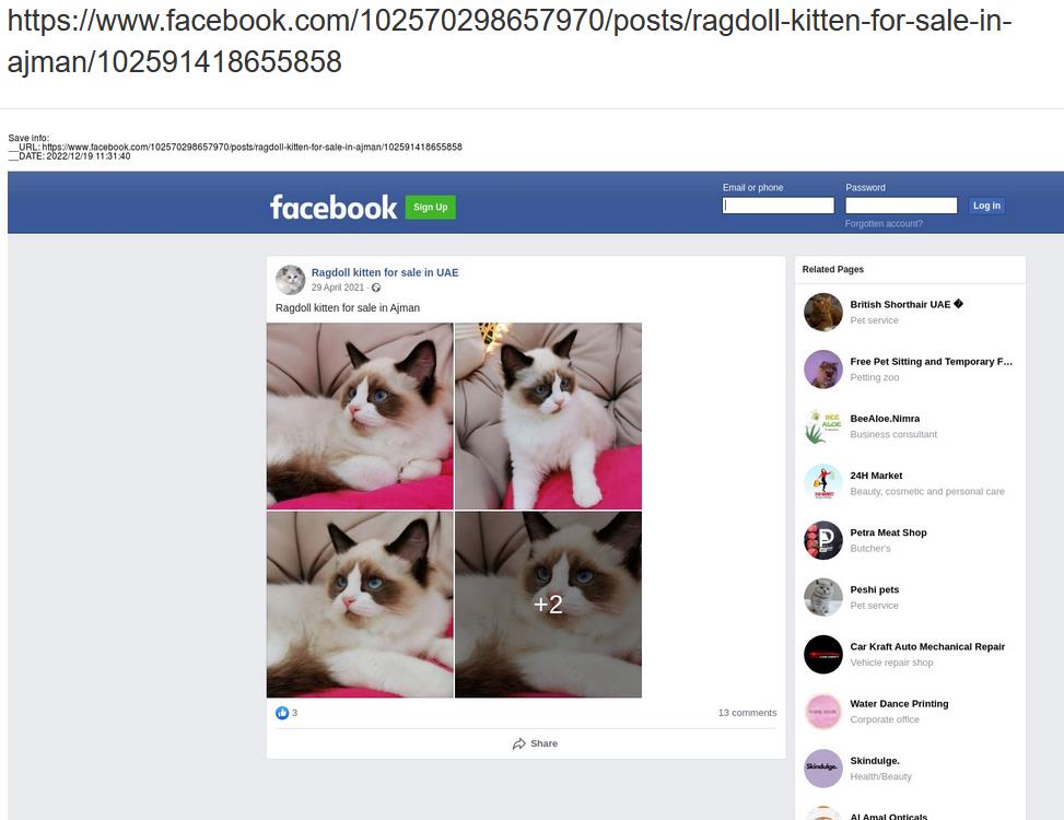 aa419's tweet photo. /davesfluffyhome.com reported as a #PetScam

Sanity checks: 
AS16276 = OVH SAS  => not good 🚩
NS: GOCHEAPWEB[.]COM => very likely🚩🚩

Preexisting stolen images?  Domain reg'ed 2022-12-11, kitten on Facebook already on Apr 2021.  

#Scam winner!

@namecheap https://t.co/l2KptF8JaW
