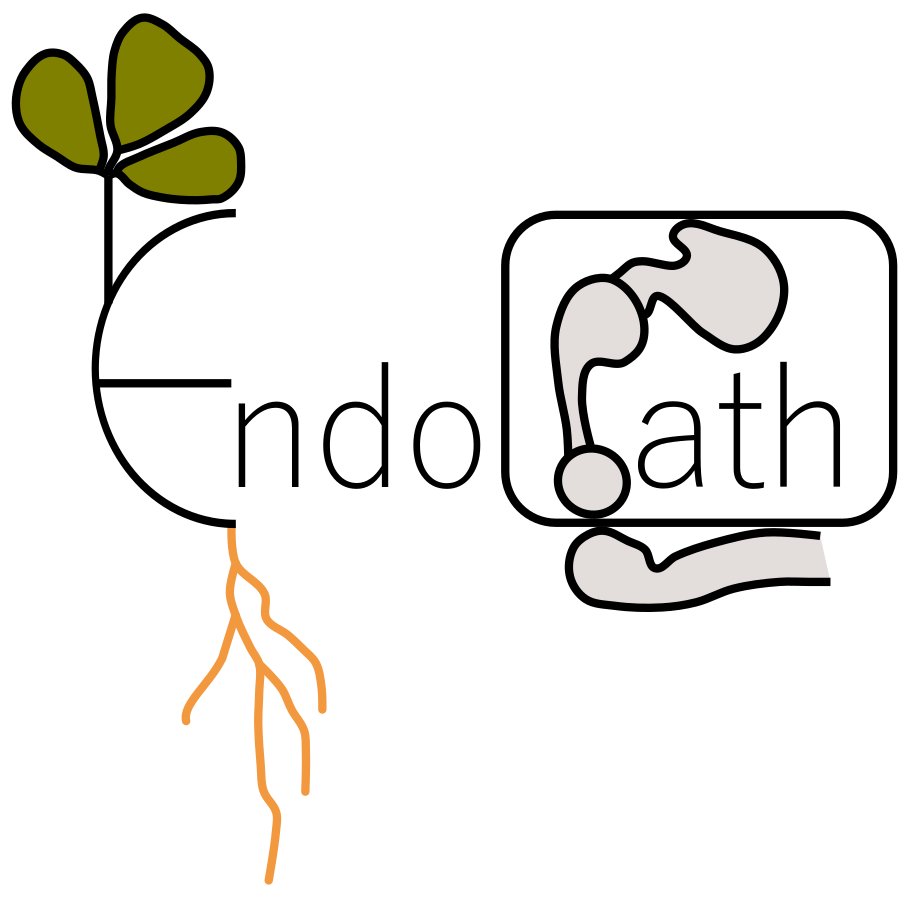 Vaso_Skiada's tweet photo. Thank you to all members (@PopyPapad, @MyrtoTsiknia, Costas Ehaliotis) of EndoPath project for the constructive discussion on our meeting. Hope we meet again soon with some nice results! @uth_gr @plant_env @biobio_uth #endophytes #endodermis #symbiosis #ELIDEK #HFRI https://t.co/VQbW8nH3tQ