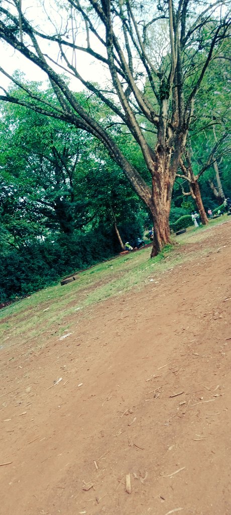 karurigcharles's tweet photo. This is also Kitale https://t.co/KXVyeh3EJs