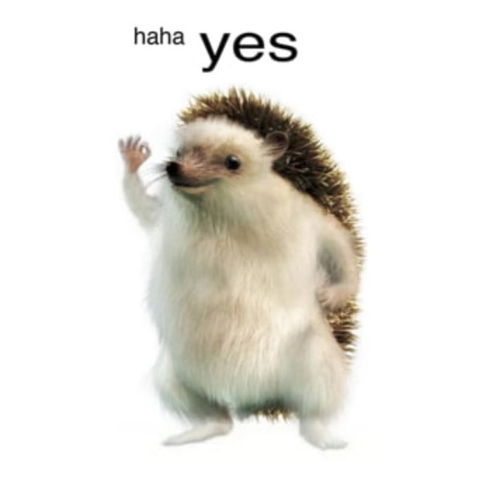 <a href="/elonmusk/">Elon Musk</a>