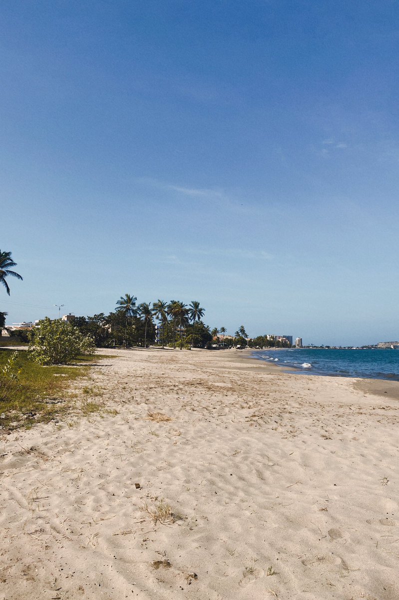 CarlosCarrilloW's tweet photo. 📍Playa Los Canales, Lechería, Venezuela.

7 de diciembre | 19 de diciembre de 2022.

Avance en la limpieza de derrame de hidrocarburos. https://t.co/KZ18ASTIwz