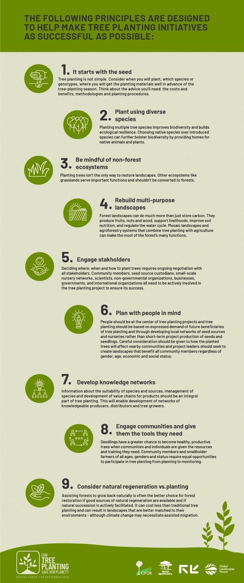 John Greene on Twitter "RT ICRAF Tree planting initiatives are